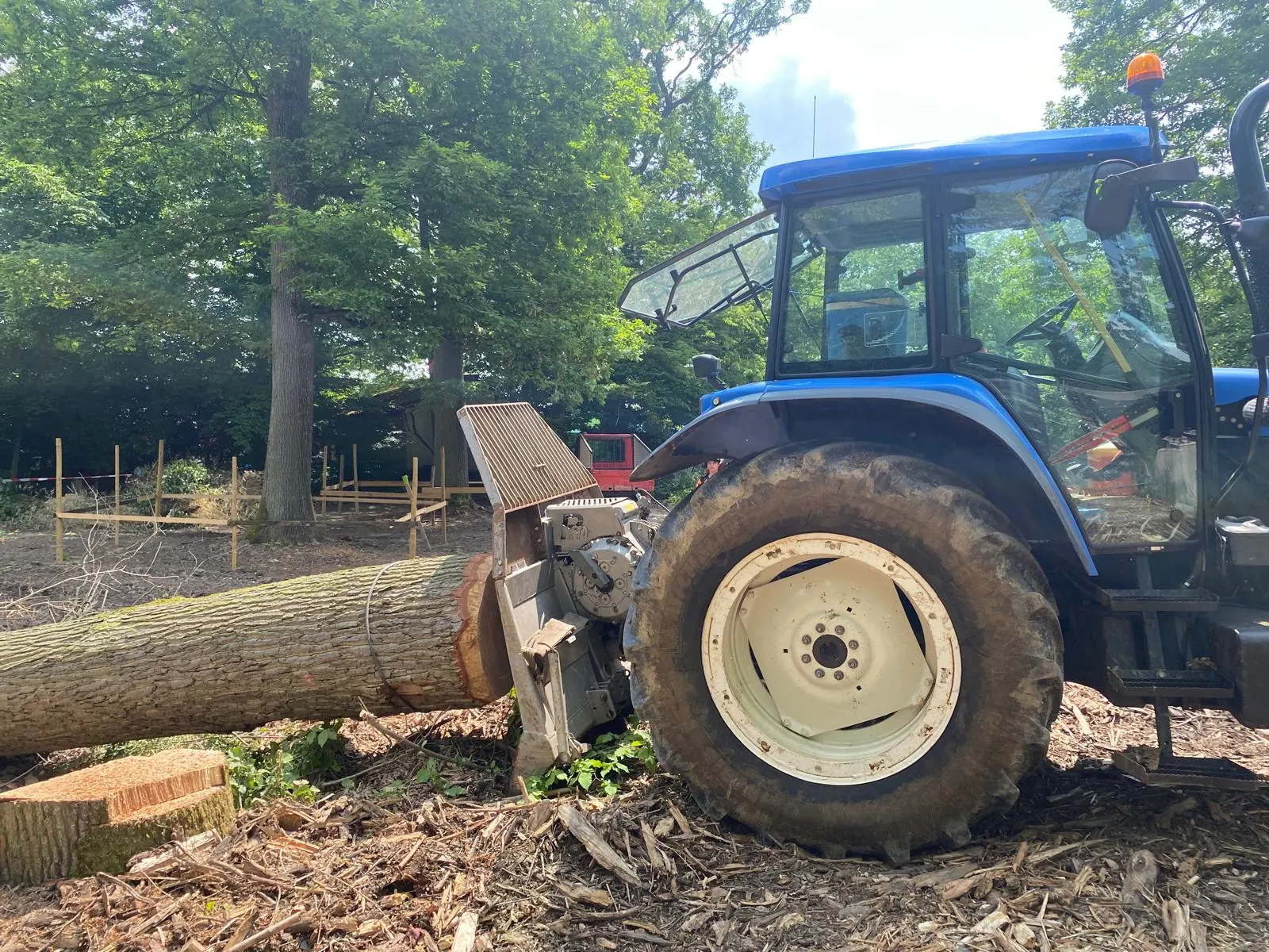 Exploitation forestière - abattage, élagage et bois de chauffage