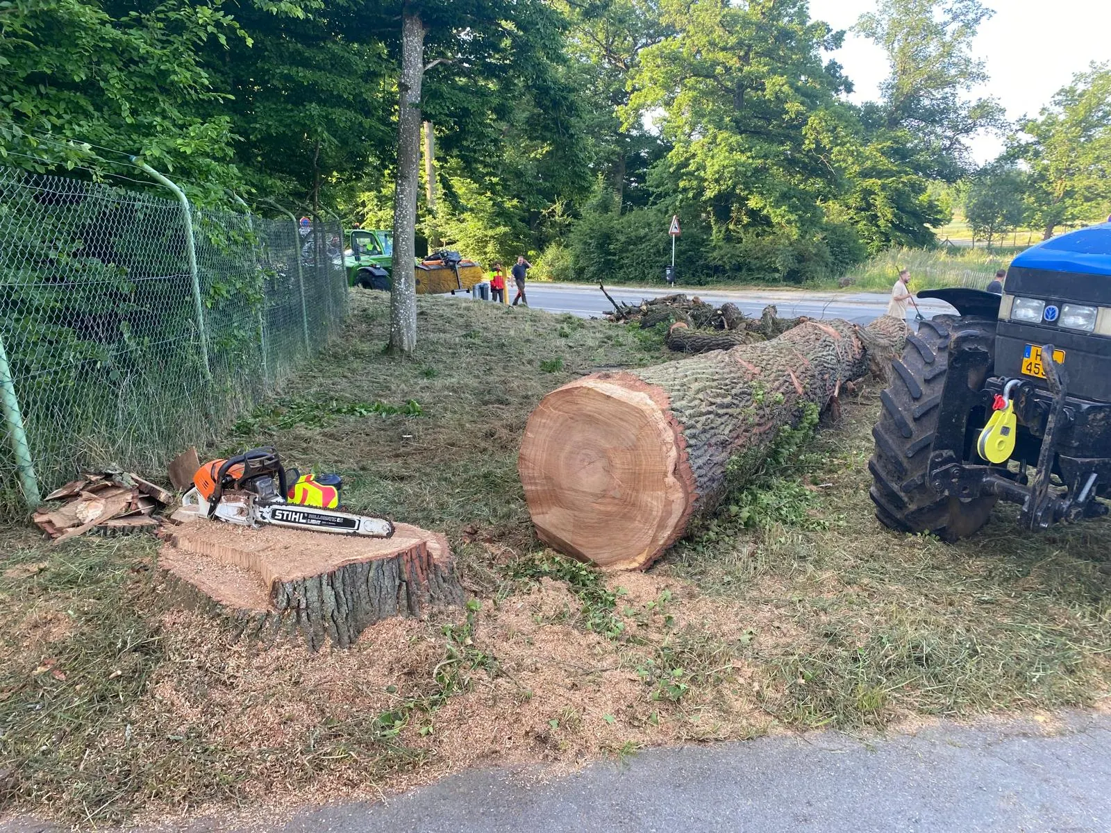 Exploitation forestière - abattage, élagage et bois de chauffage