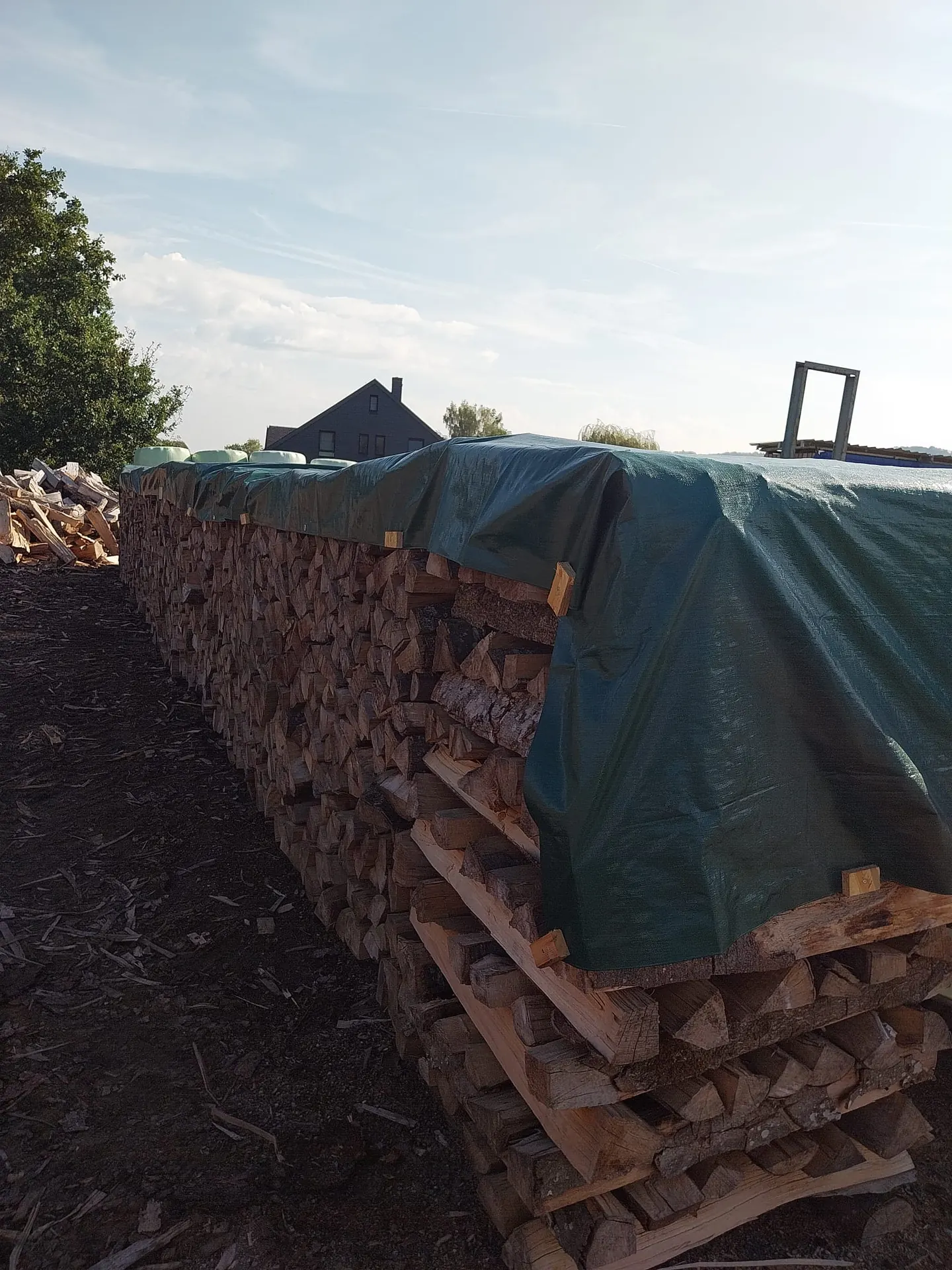 Exploitation forestière - abattage, élagage et bois de chauffage