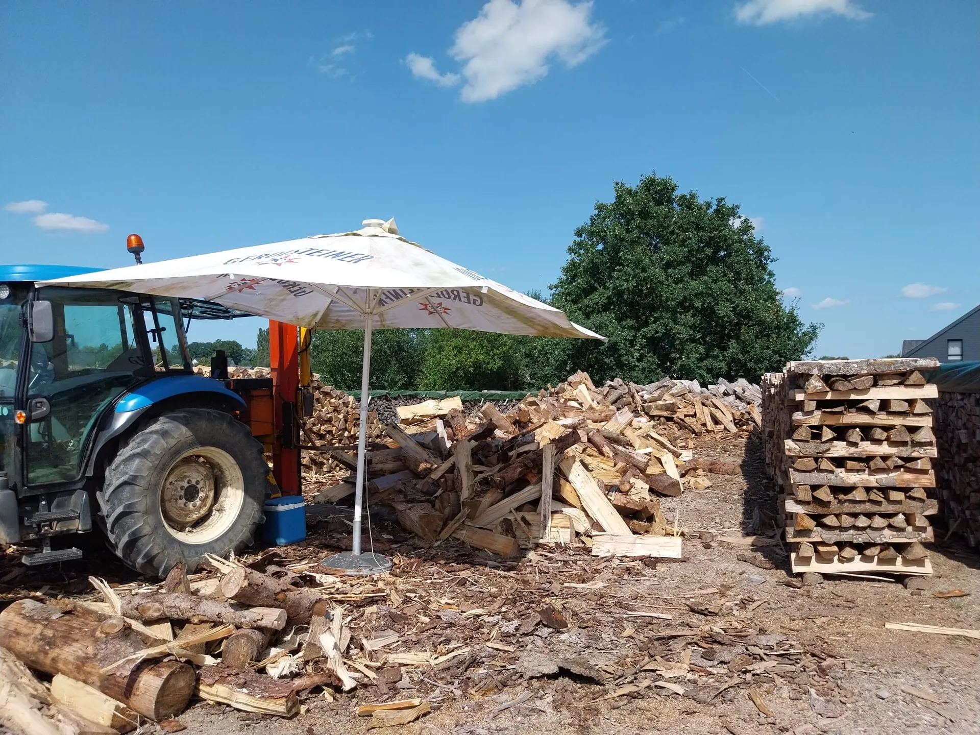 Exploitation forestière - abattage, élagage et bois de chauffage