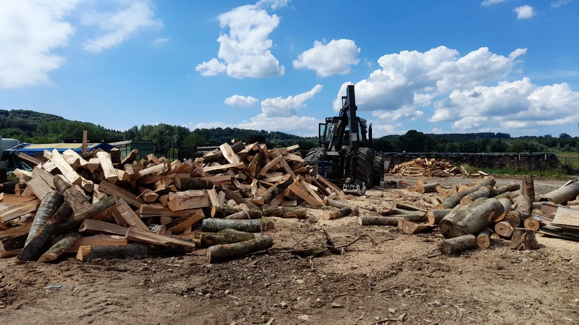 Exploitation forestière - abattage, élagage et bois de chauffage