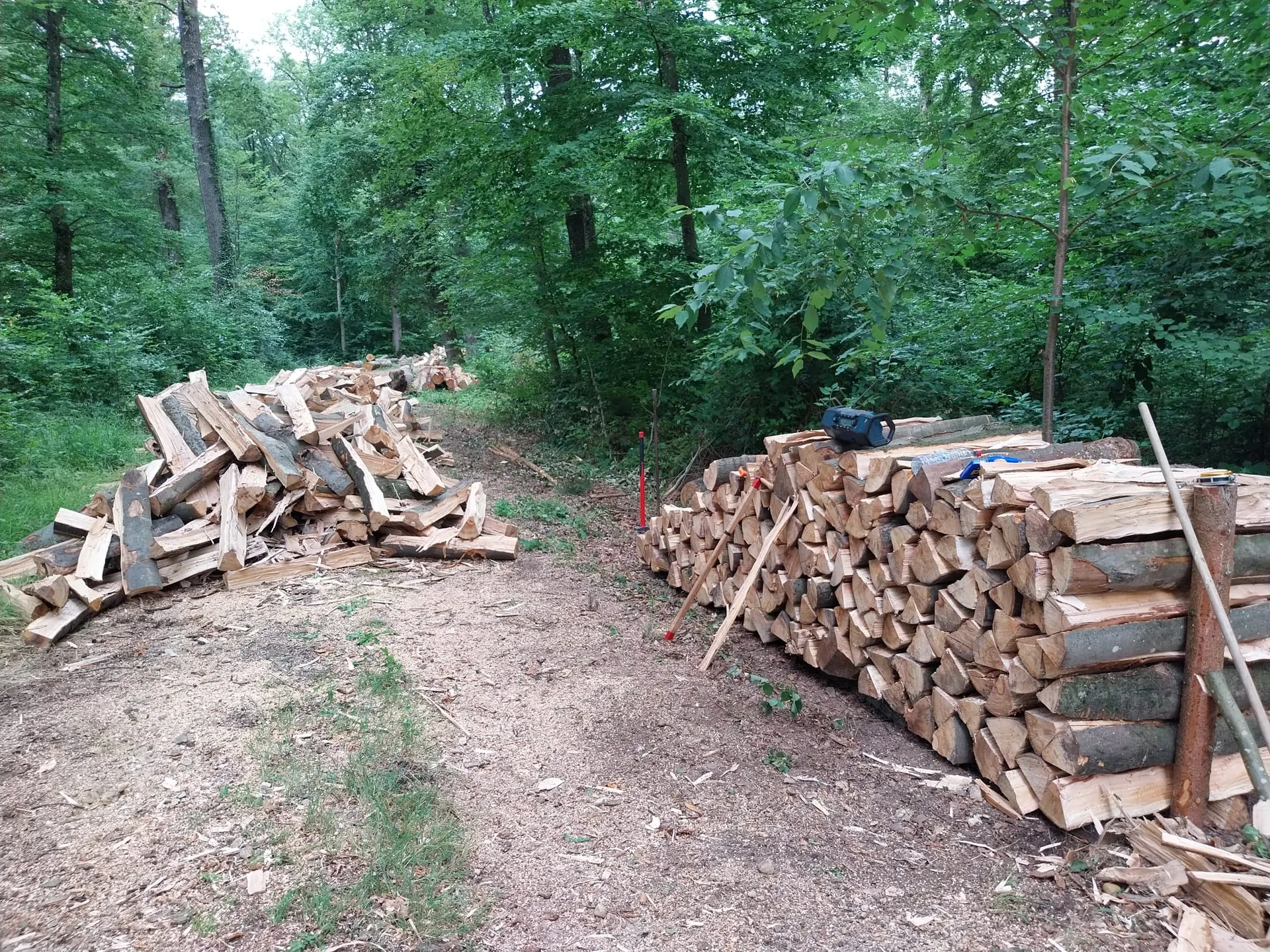 Exploitation forestière - abattage, élagage et bois de chauffage