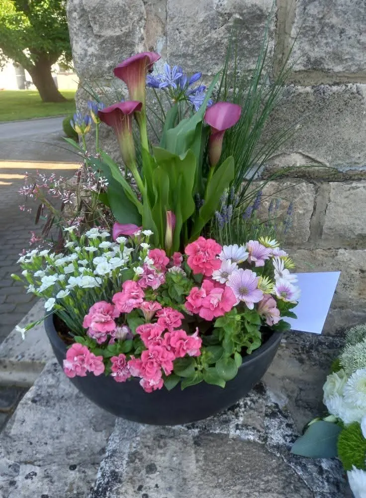 Notre pépinière et magasin de plantes et fleurs à Oberpallen