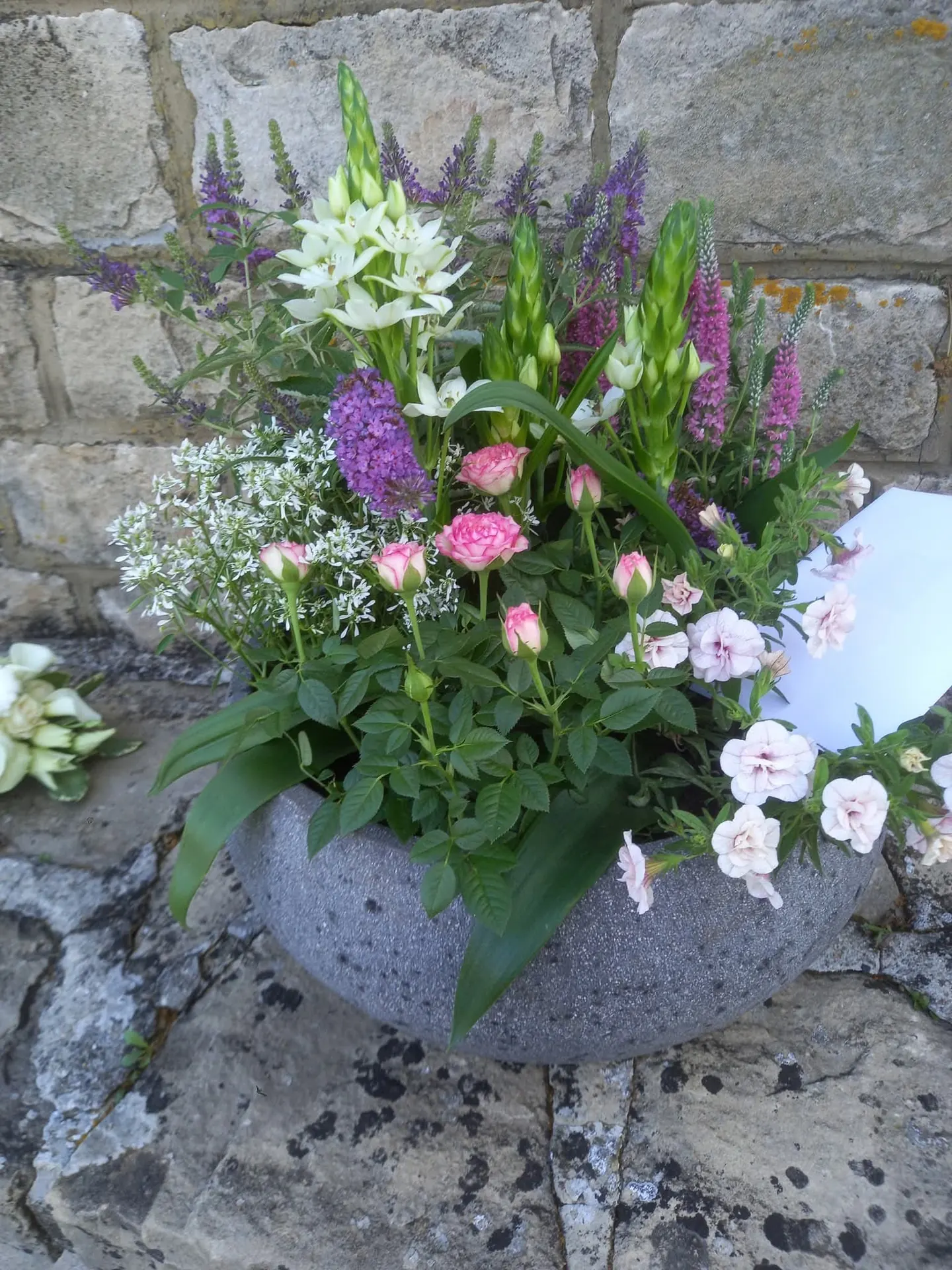 Notre pépinière et magasin de plantes et fleurs à Oberpallen