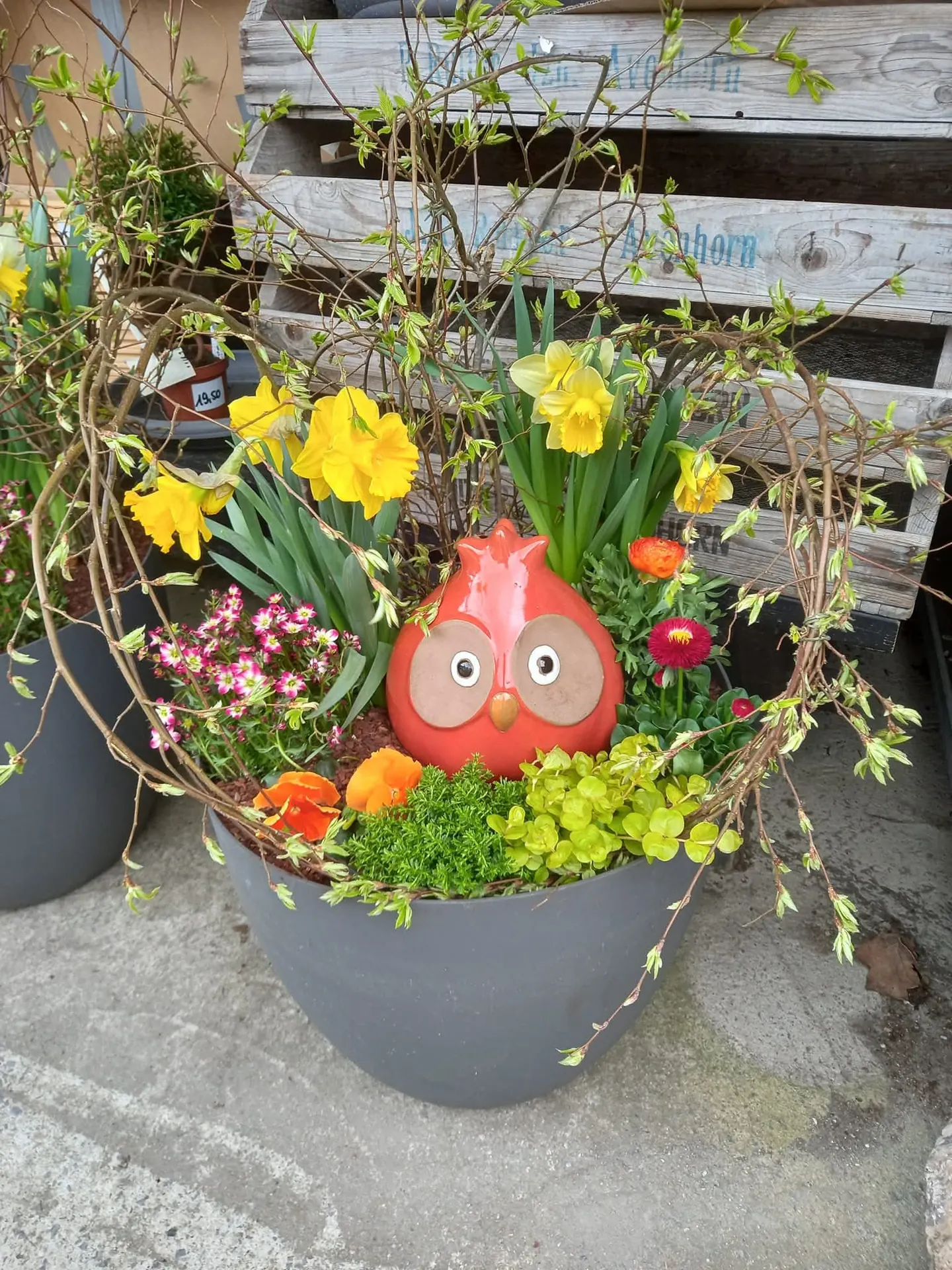 Notre pépinière et magasin de plantes et fleurs à Oberpallen