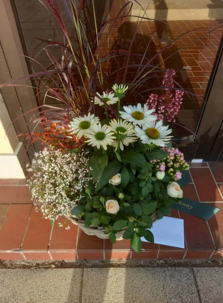 Notre pépinière et magasin de plantes et fleurs à Oberpallen