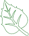 Feuille